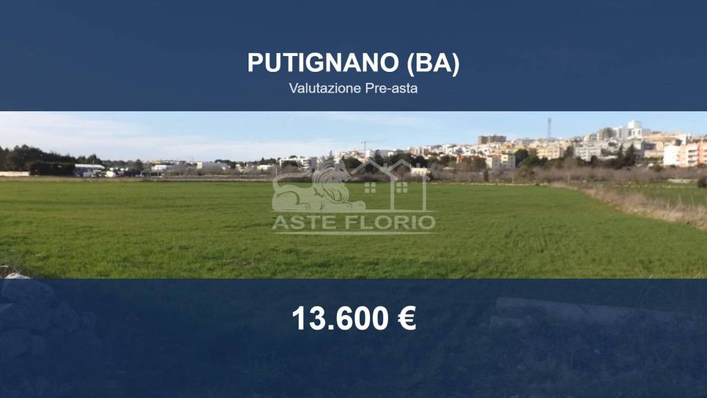 immagine annuncio 0 di 10