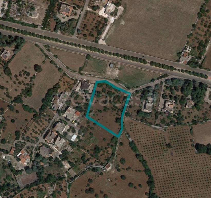 terreno in vendita a Putignano