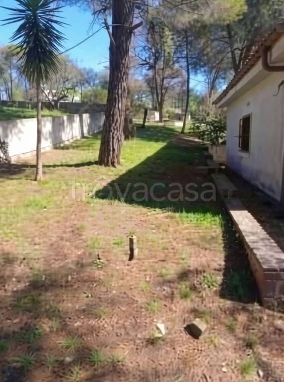 appartamento in vendita a Putignano