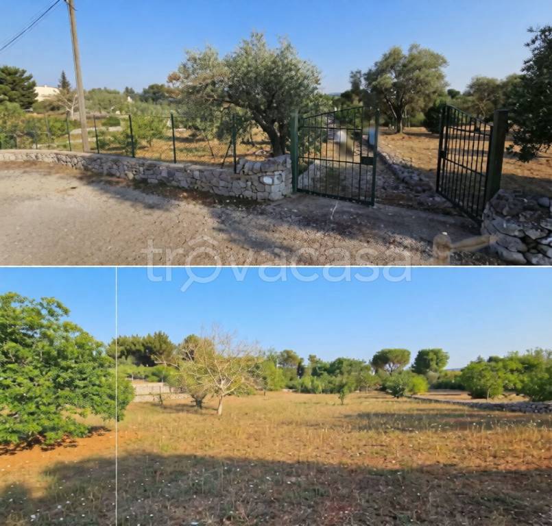 appartamento in vendita a Putignano