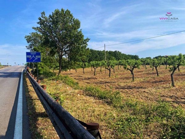 terreno agricolo in vendita a Putignano in zona San Pietro Piturno