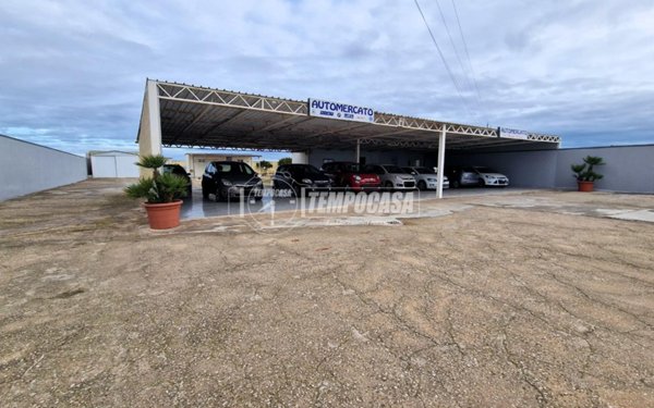 terreno agricolo in vendita a Rutigliano