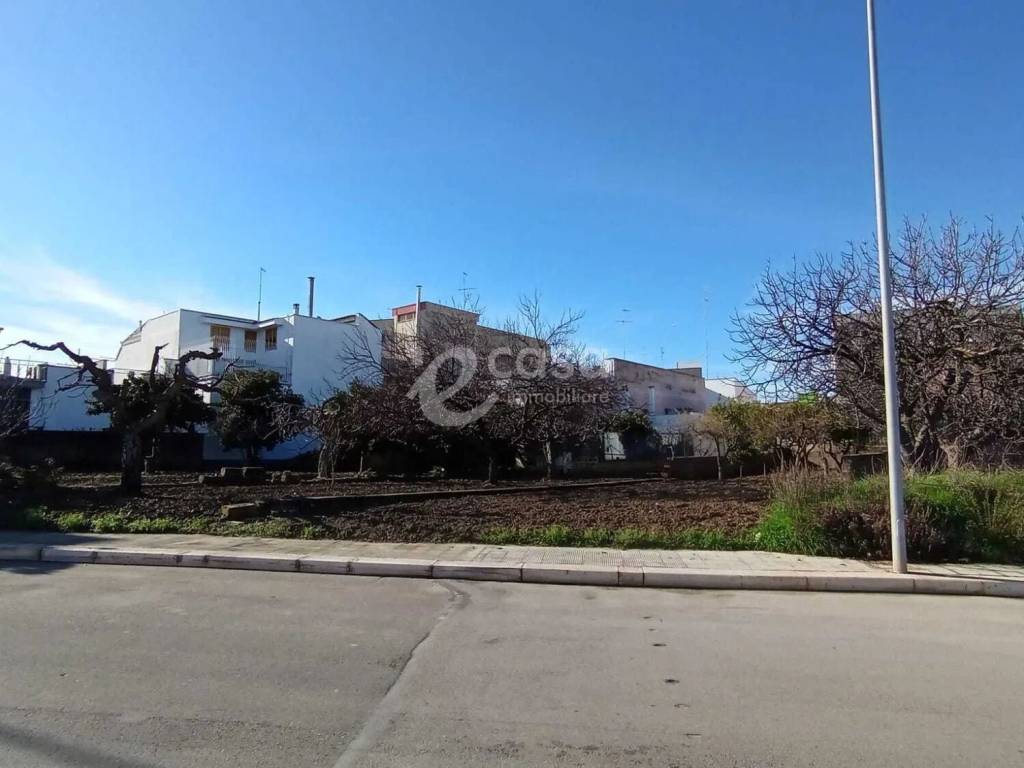 terreno agricolo in vendita a Rutigliano