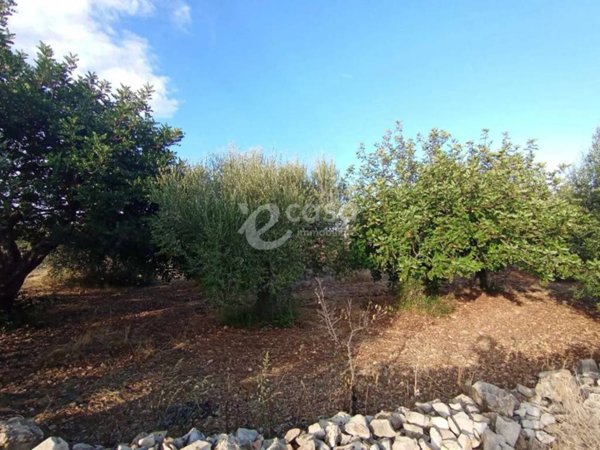 terreno agricolo in vendita a Rutigliano