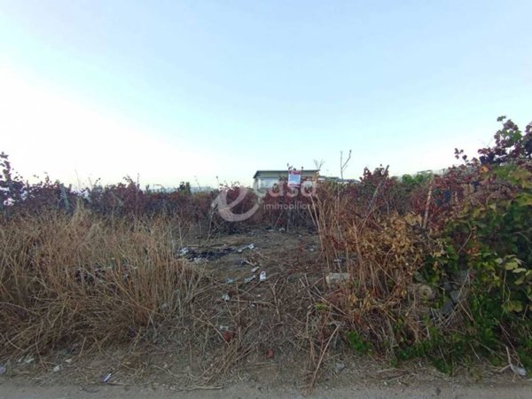 terreno agricolo in vendita a Rutigliano