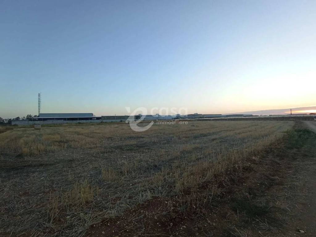 terreno agricolo in vendita a Rutigliano