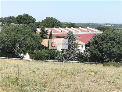 negozio in vendita a Ruvo di Puglia