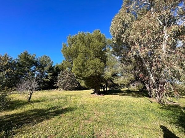 casa indipendente in vendita a Ruvo di Puglia
