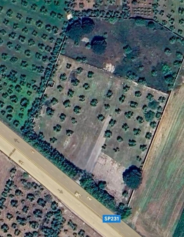 terreno agricolo in vendita a Ruvo di Puglia