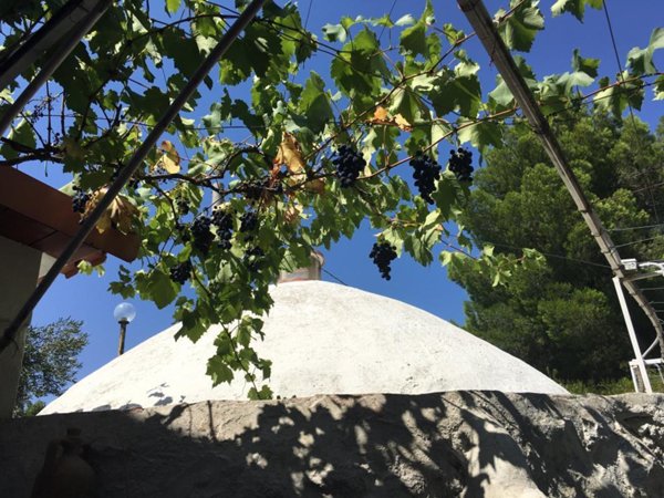 casa indipendente in vendita a Ruvo di Puglia in zona Calendano