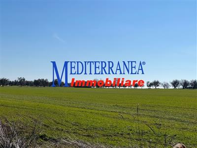 casale in vendita a Ruvo di Puglia