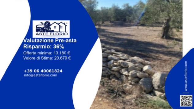 terreno agricolo in vendita a Ruvo di Puglia