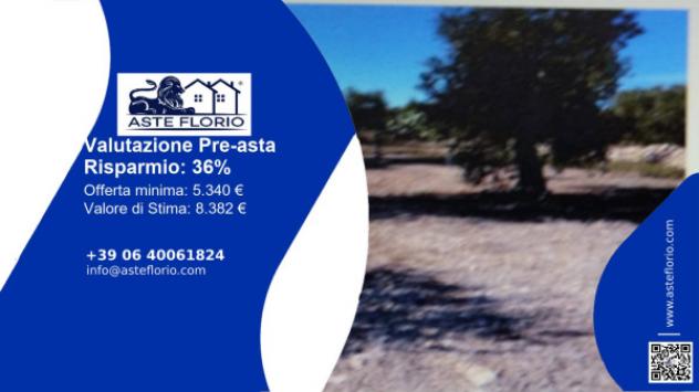 terreno agricolo in vendita a Ruvo di Puglia