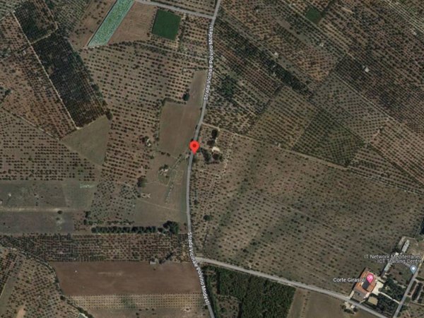 terreno agricolo in vendita a Ruvo di Puglia