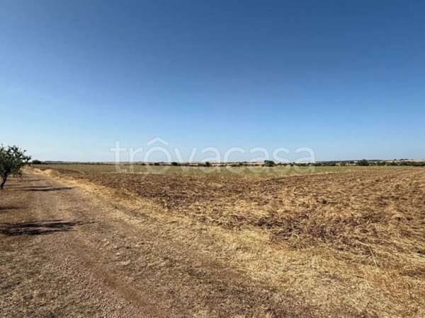 azienda agricola in vendita a Ruvo di Puglia