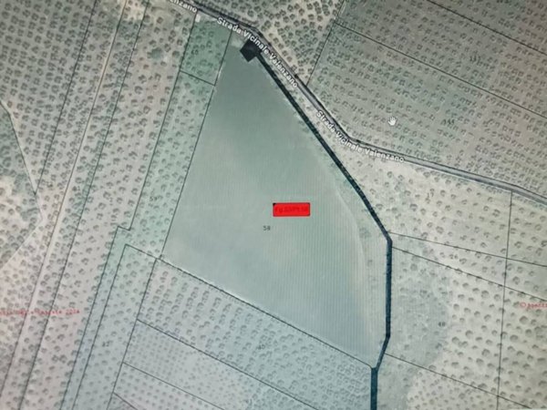 terreno agricolo in vendita a Ruvo di Puglia