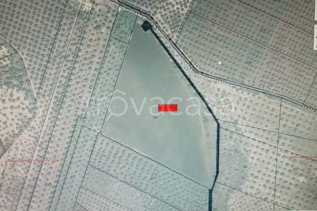 terreno agricolo in vendita a Ruvo di Puglia