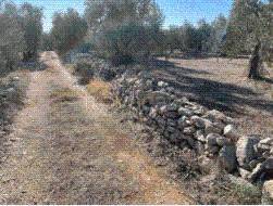 terreno agricolo in vendita a Ruvo di Puglia