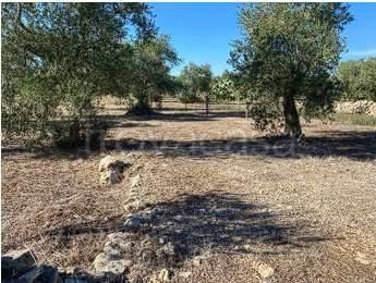 appartamento in vendita a Ruvo di Puglia