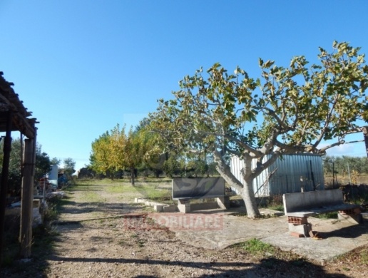 casa indipendente in vendita a Ruvo di Puglia