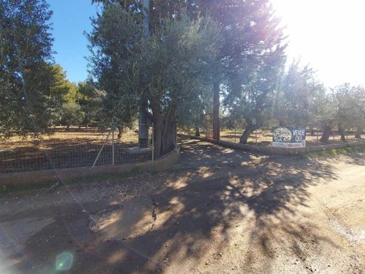 casa indipendente in vendita a Ruvo di Puglia