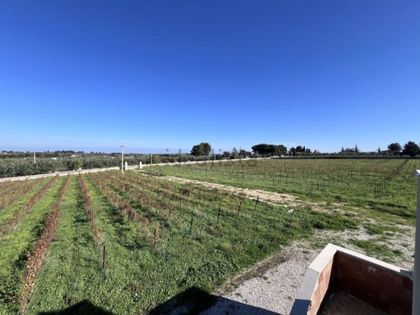 appartamento in vendita a Ruvo di Puglia