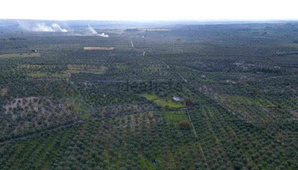 terreno in vendita a Ruvo di Puglia