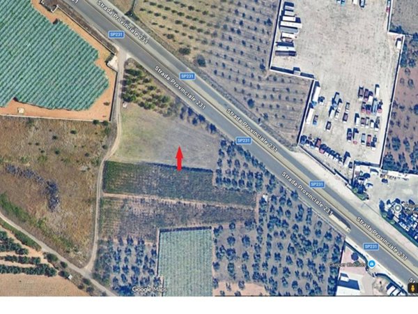 terreno agricolo in vendita a Ruvo di Puglia