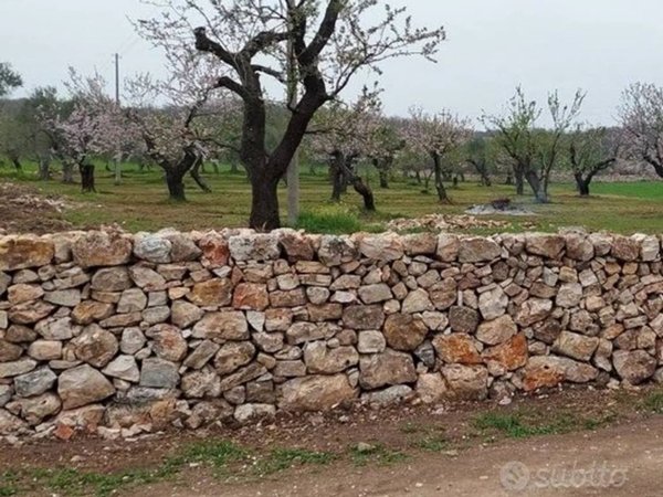 terreno agricolo in vendita a Ruvo di Puglia