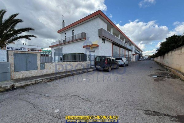appartamento in vendita a Ruvo di Puglia