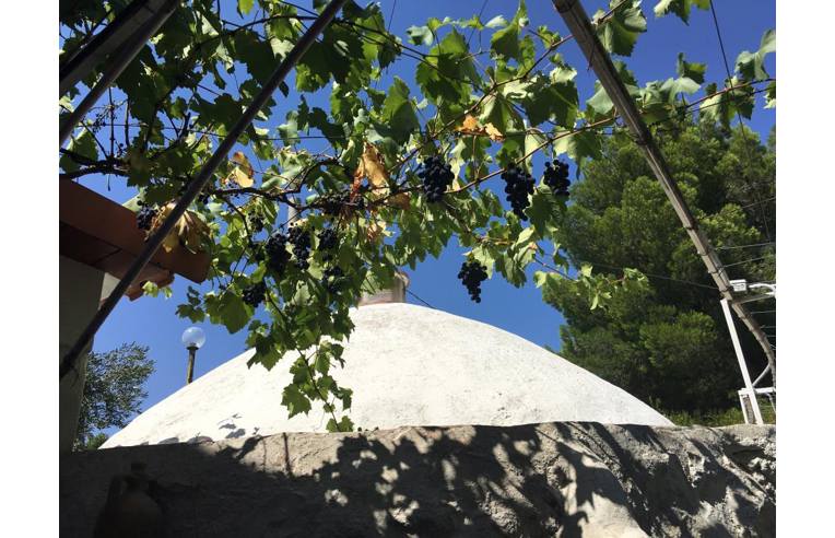 casa indipendente in vendita a Ruvo di Puglia in zona Calendano