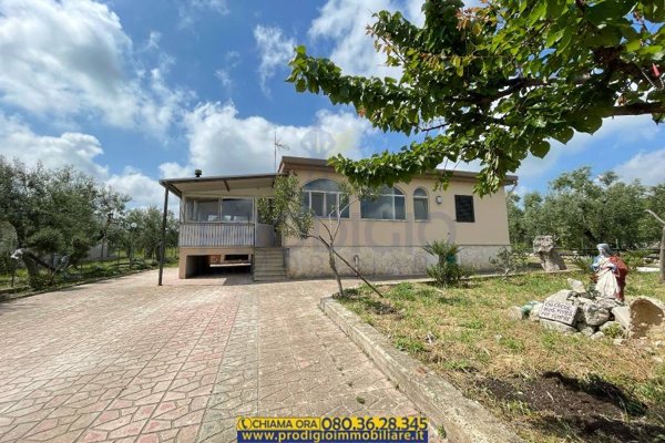 casa indipendente in vendita a Ruvo di Puglia