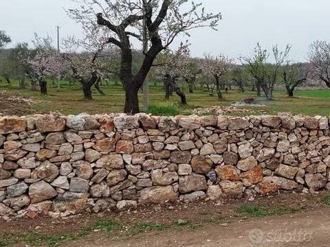 terreno in vendita a Ruvo di Puglia