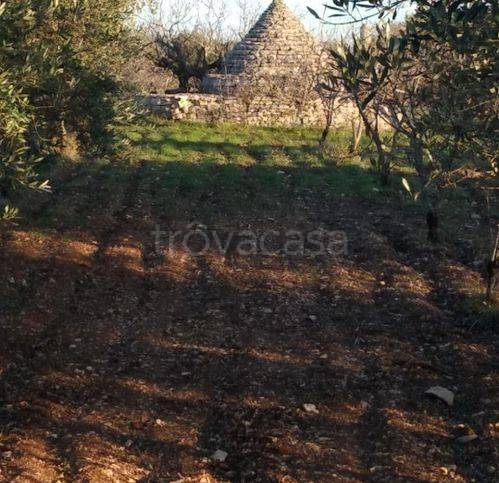 terreno agricolo in vendita a Sammichele di Bari