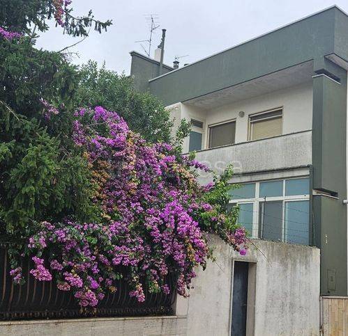 casa indipendente in vendita a Sammichele di Bari