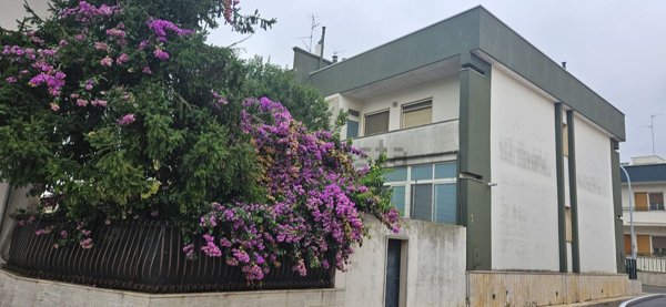 casa indipendente in vendita a Sammichele di Bari