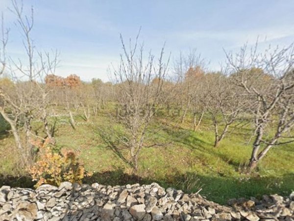 terreno agricolo in vendita a Sammichele di Bari