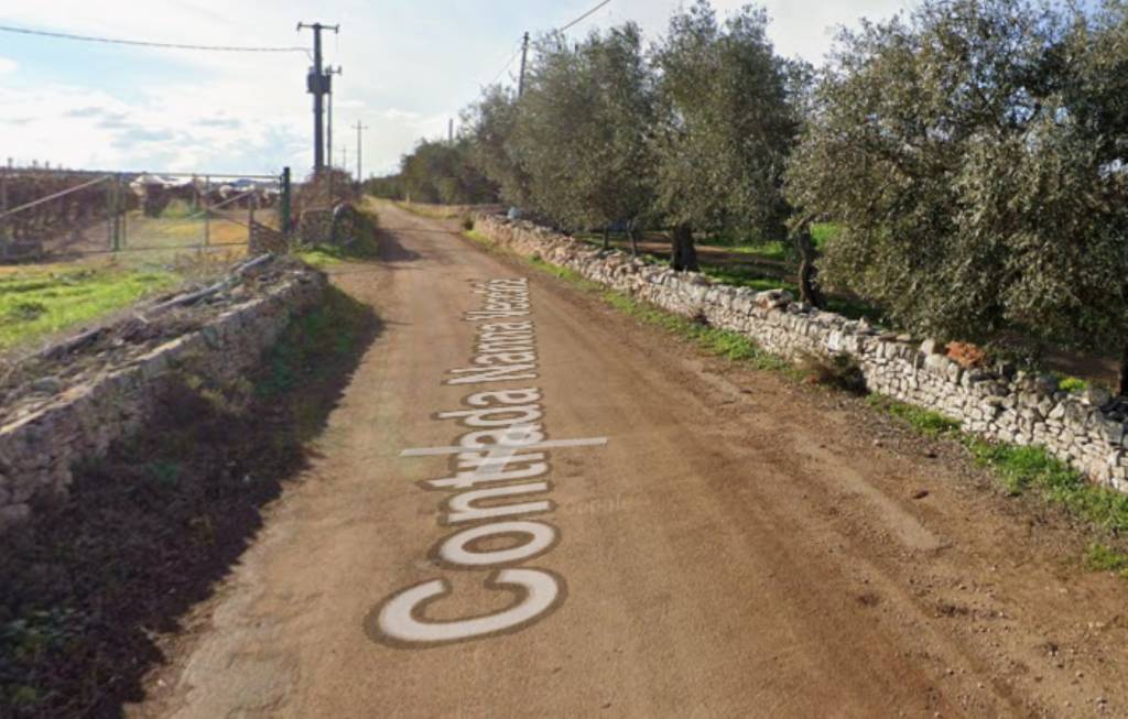 terreno agricolo in vendita a Sammichele di Bari
