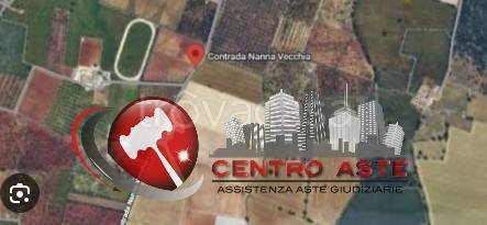 terreno agricolo in vendita a Sammichele di Bari