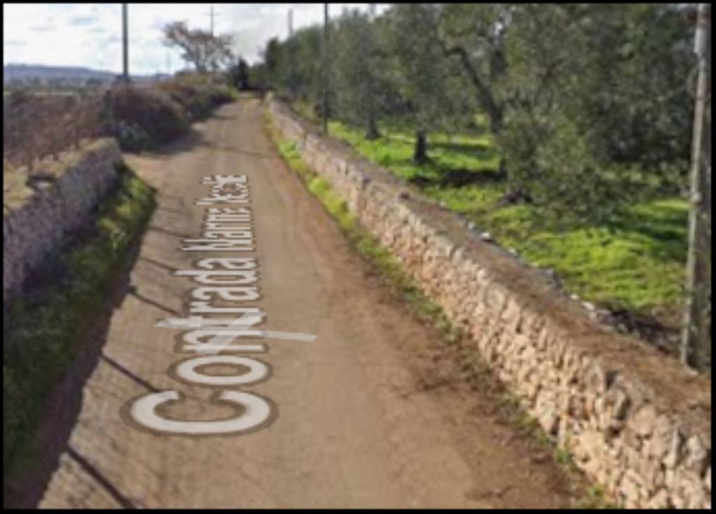 terreno agricolo in vendita a Sammichele di Bari