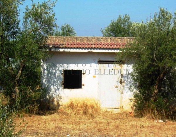 appartamento in vendita a Sannicandro di Bari