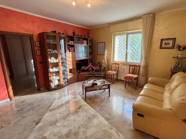 immagine annuncio 0 di 5