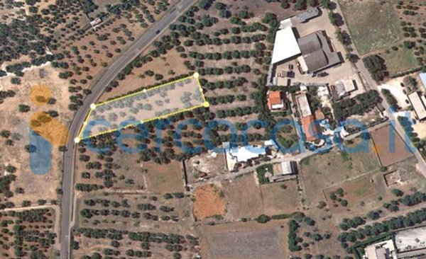 terreno edificabile in vendita a Sannicandro di Bari