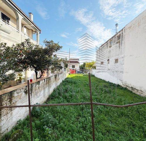 terreno agricolo in vendita a Sannicandro di Bari