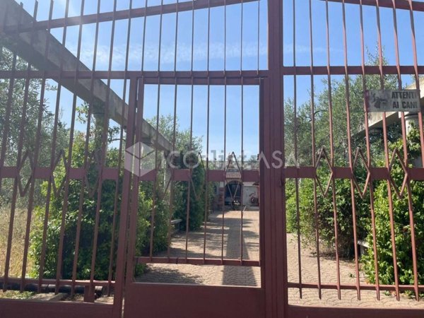 casa indipendente in vendita a Sannicandro di Bari