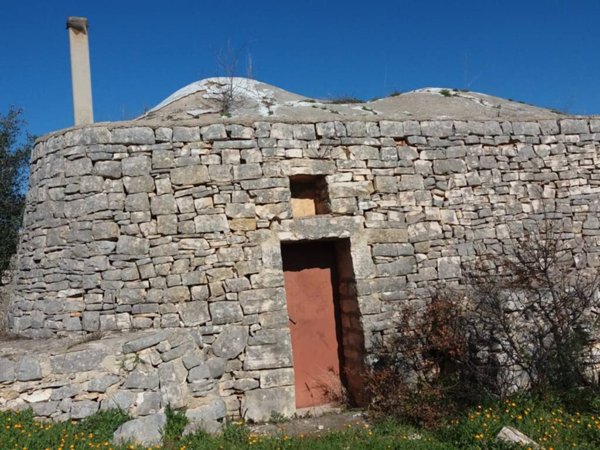 terreno agricolo in vendita a Sannicandro di Bari