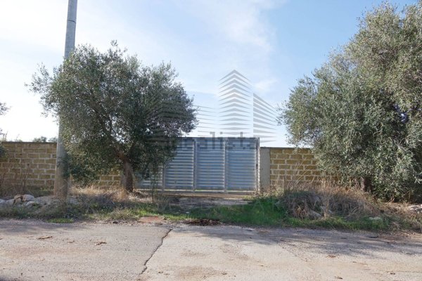 terreno agricolo in vendita a Sannicandro di Bari