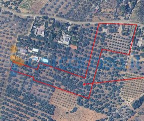terreno agricolo in vendita a Sannicandro di Bari