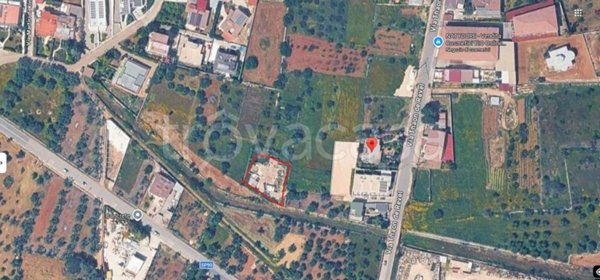 terreno agricolo in vendita a Sannicandro di Bari