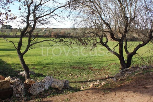 terreno agricolo in vendita a Santeramo in Colle